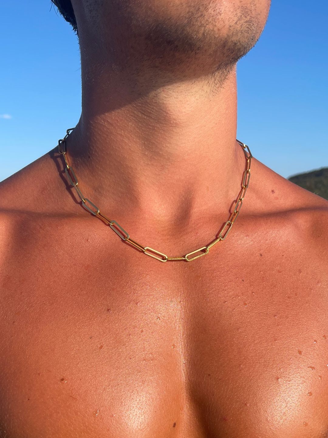BOA CHAIN | 18K Gold